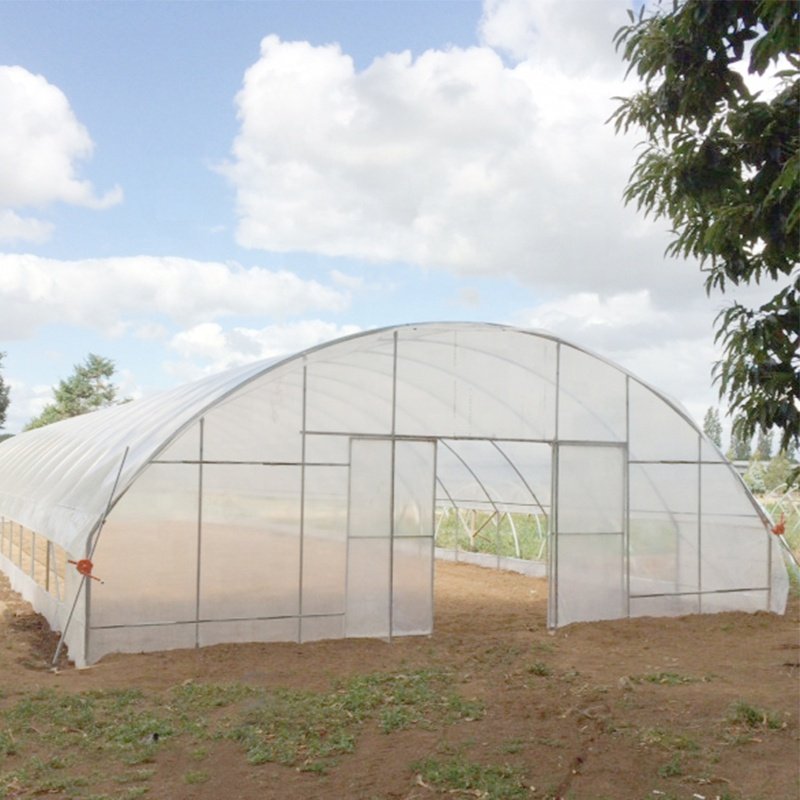 High strength Agricultural poly tunnel Green House/tomato greenhouse for sale