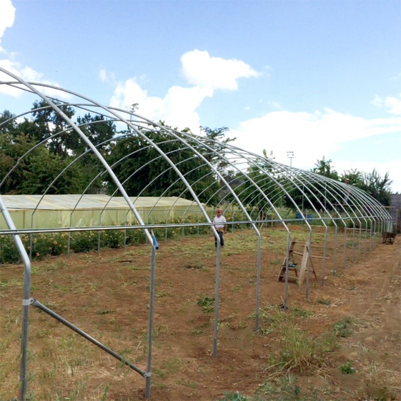 High strength Agricultural poly tunnel Green House/tomato greenhouse for sale
