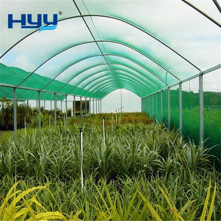 HDPE Green Sun Shade Nets for Agricultural Greenhouse Plant Nursery