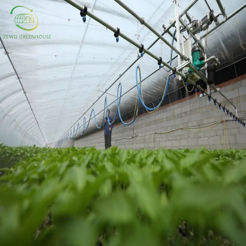 Cheap Single Span Commercial Tunnel/Plastic/Film Farm Agricultural Greenhouse from factory