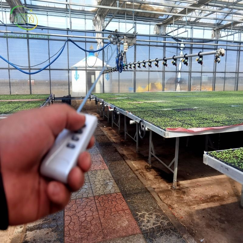 Cheap Single Span Commercial Tunnel/Plastic/Film Farm Agricultural Greenhouse from factory