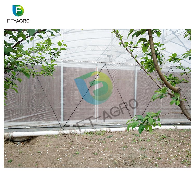 Cheap Wholesale High Quality Hot Sell Agriculture single-span PO flim Greenhouse