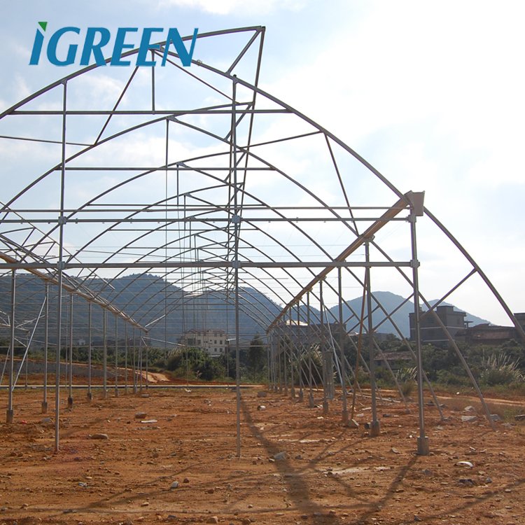 Agriculture green house