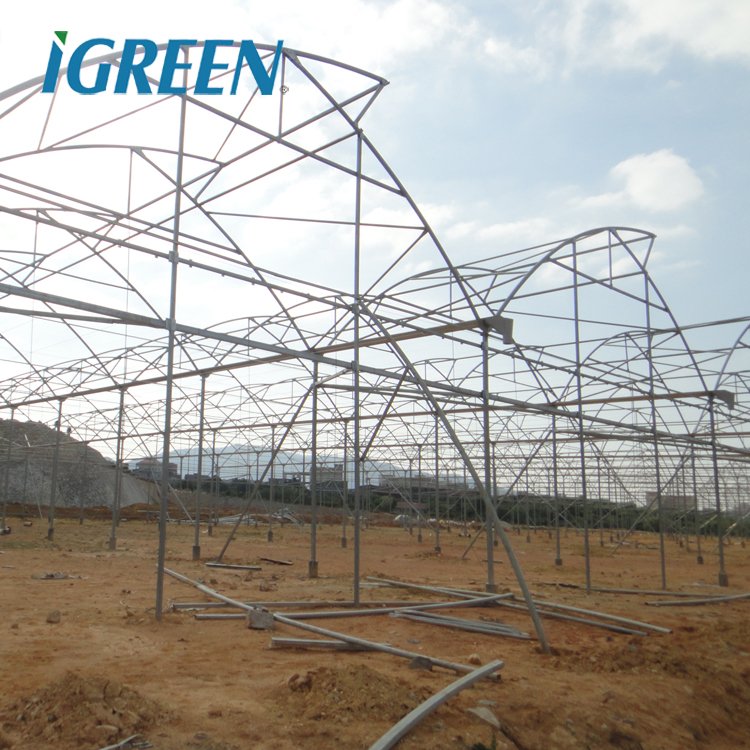 Agriculture green house