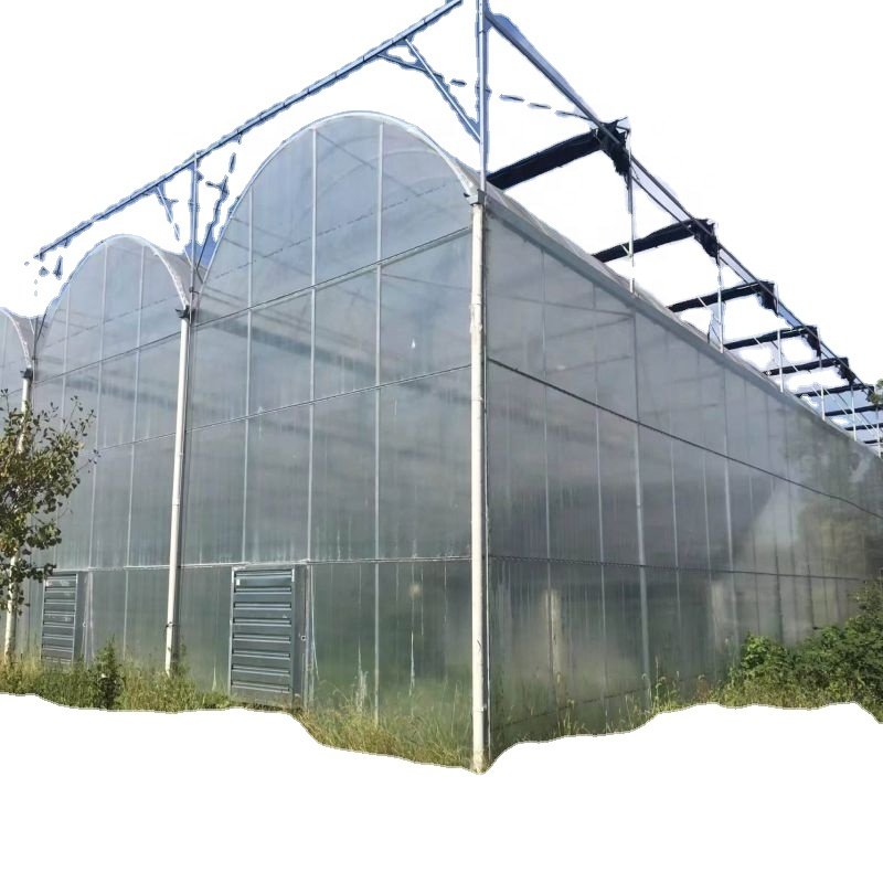 Agricultural Greenhouses And Farm tunnel Greenhouse plastic film Cultivation Shed Skeleton tomato