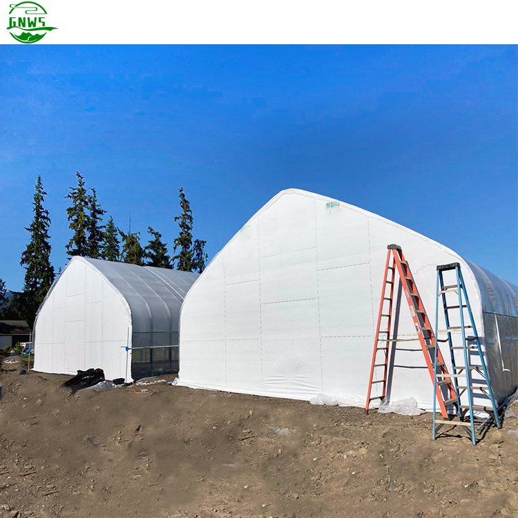 Medical Plants Growing Lights Blackout Greenhouse Light Deprivation Greenhouse Medical Greenhouse