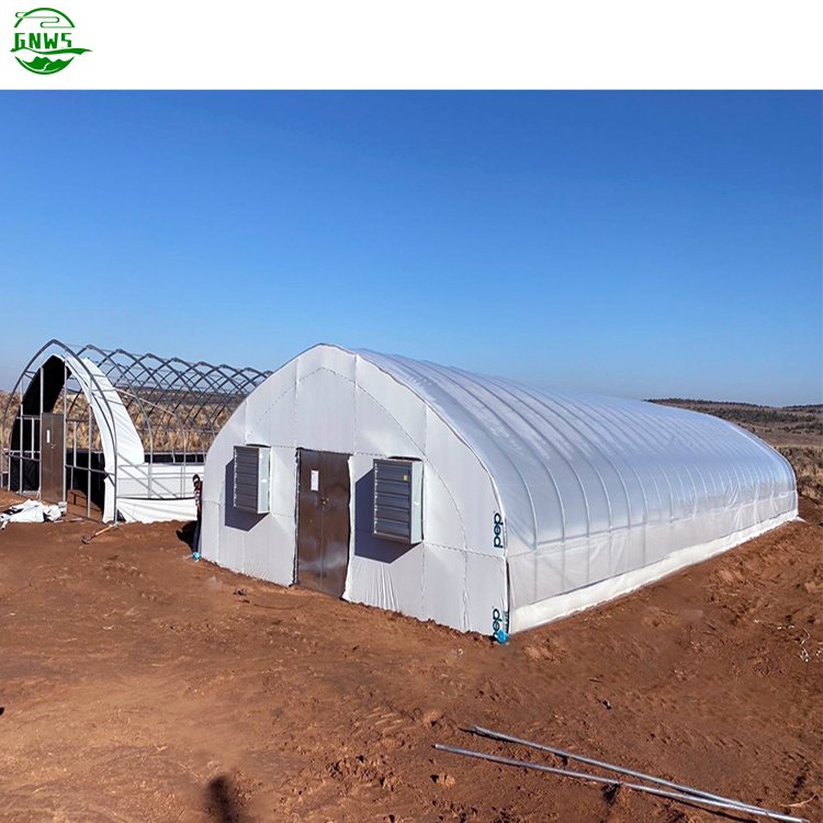 Medical Plants Growing Lights Blackout Greenhouse Light Deprivation Greenhouse Medical Greenhouse