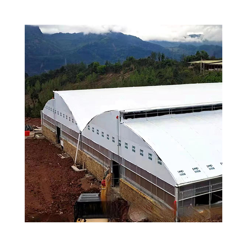 Commercial Agricultural Galvanized Steel Multi Span Plastic Film serre agricole Tomato Growing Drying House Greenhouse