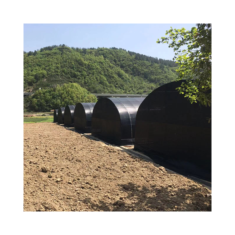 Commercial Agricultural Galvanized Steel Multi Span Plastic Film serre agricole Tomato Growing Drying House Greenhouse