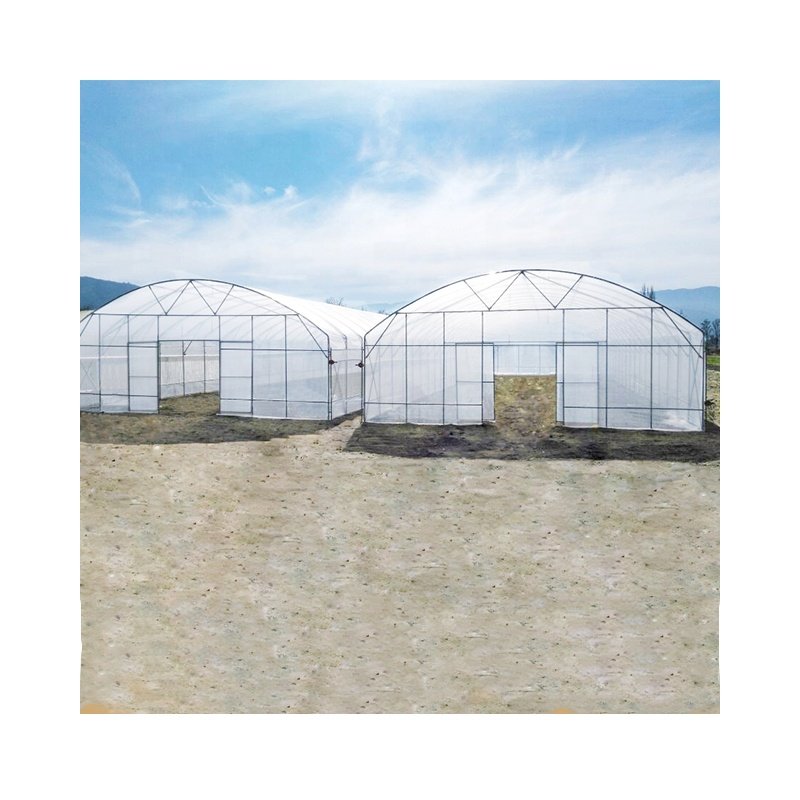 Low cost gothic greenhouse cold frame greenhouse tunnel green house