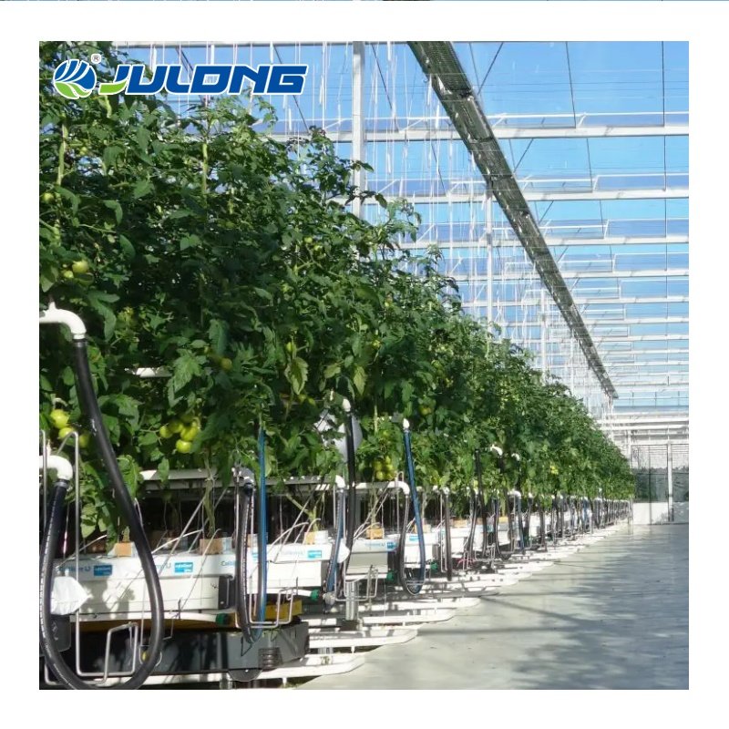 agricultural greenhouses polyethylene plastic film invernadero multi-span greenhouse tomato hydroponic green house
