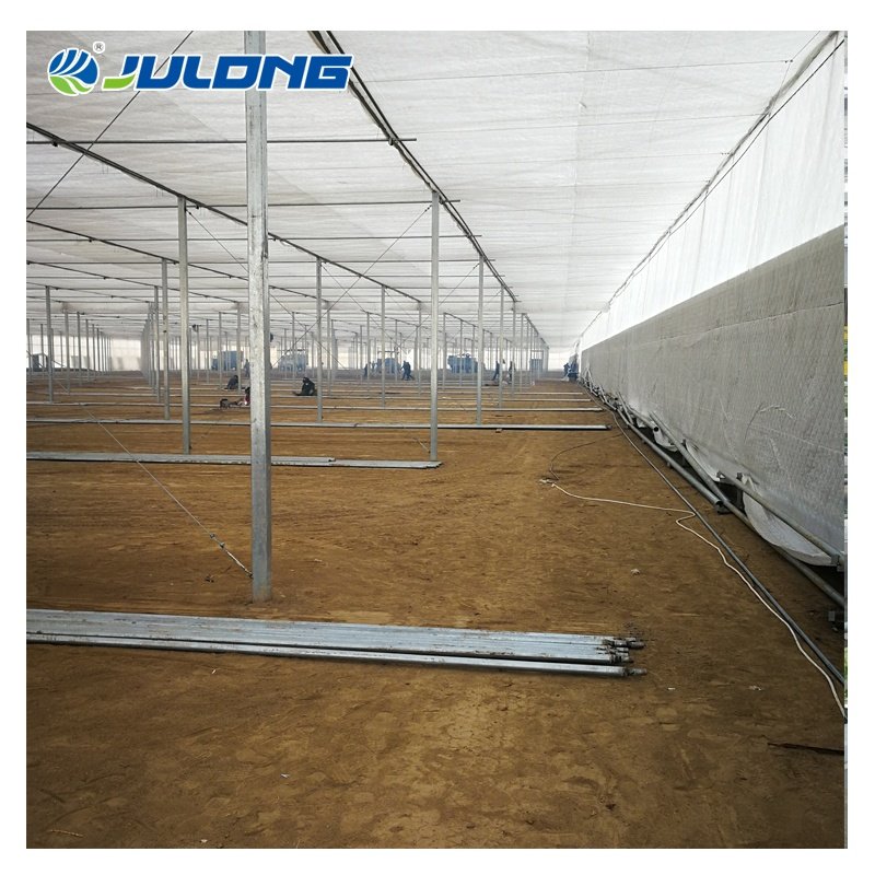 agricultural greenhouses polyethylene plastic film invernadero multi-span greenhouse tomato hydroponic green house