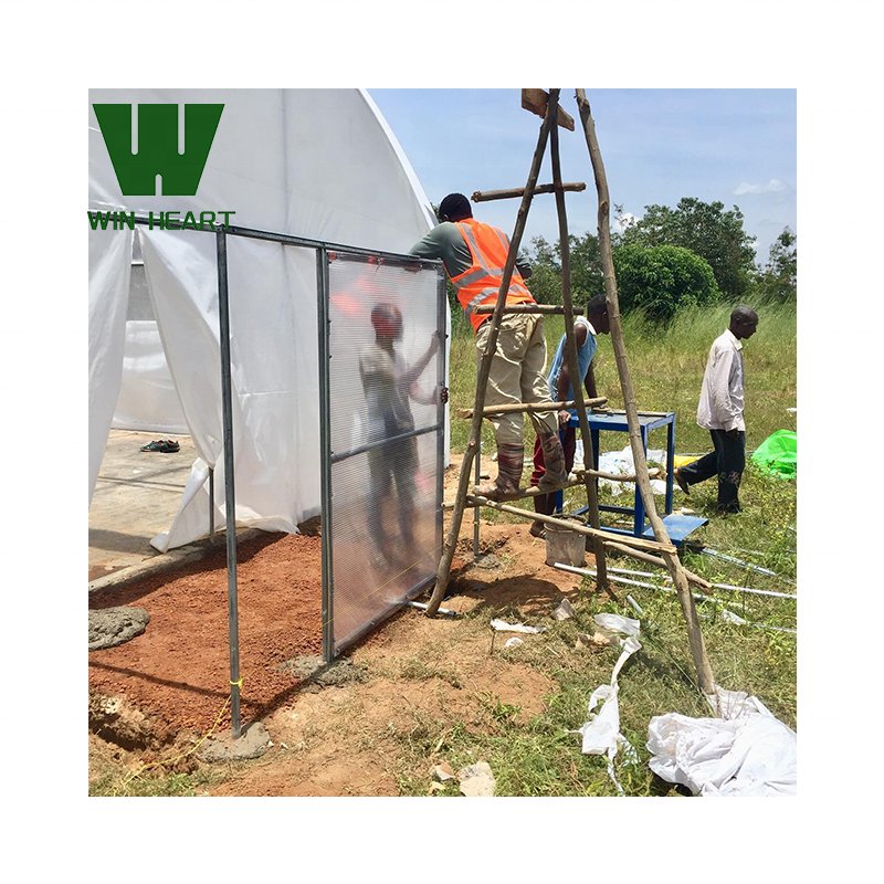 Commercial Agricultural Greenhouse Single-Span Greenhouses With Hydroponic System For European Countries