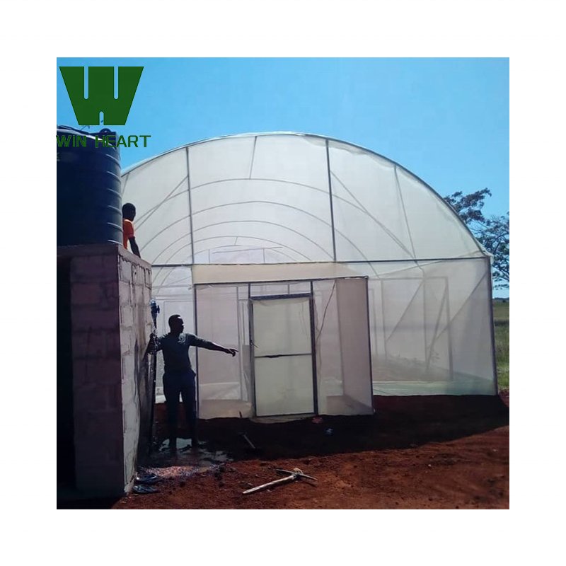 Commercial Agricultural Greenhouse Single-Span Greenhouses With Hydroponic System For European Countries