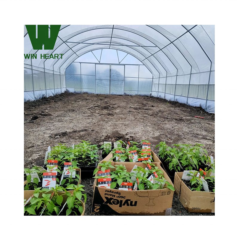 Commercial Agricultural Greenhouse Single-Span Greenhouses With Hydroponic System For European Countries