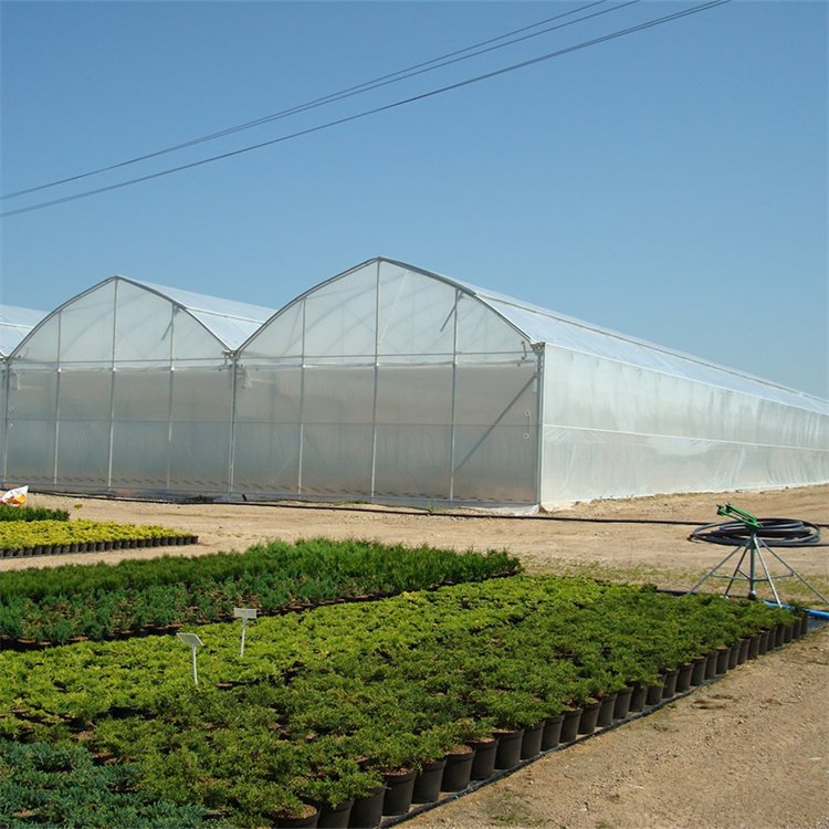 Baolida Agriculture vegetables growing automated controlled multi span greenhouse construction