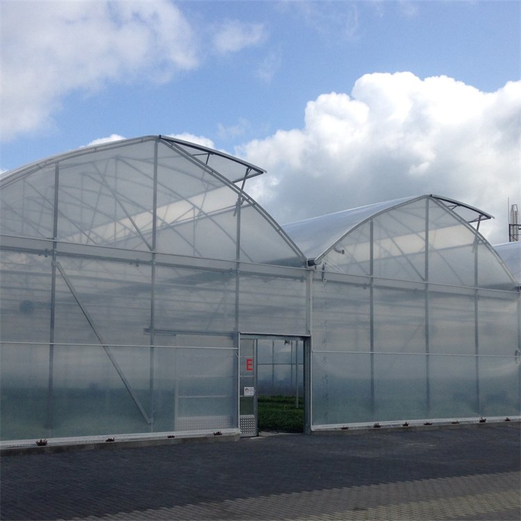 Baolida Agriculture vegetables growing automated controlled multi span greenhouse construction