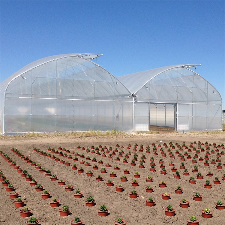 Baolida Agriculture vegetables growing automated controlled multi span greenhouse construction