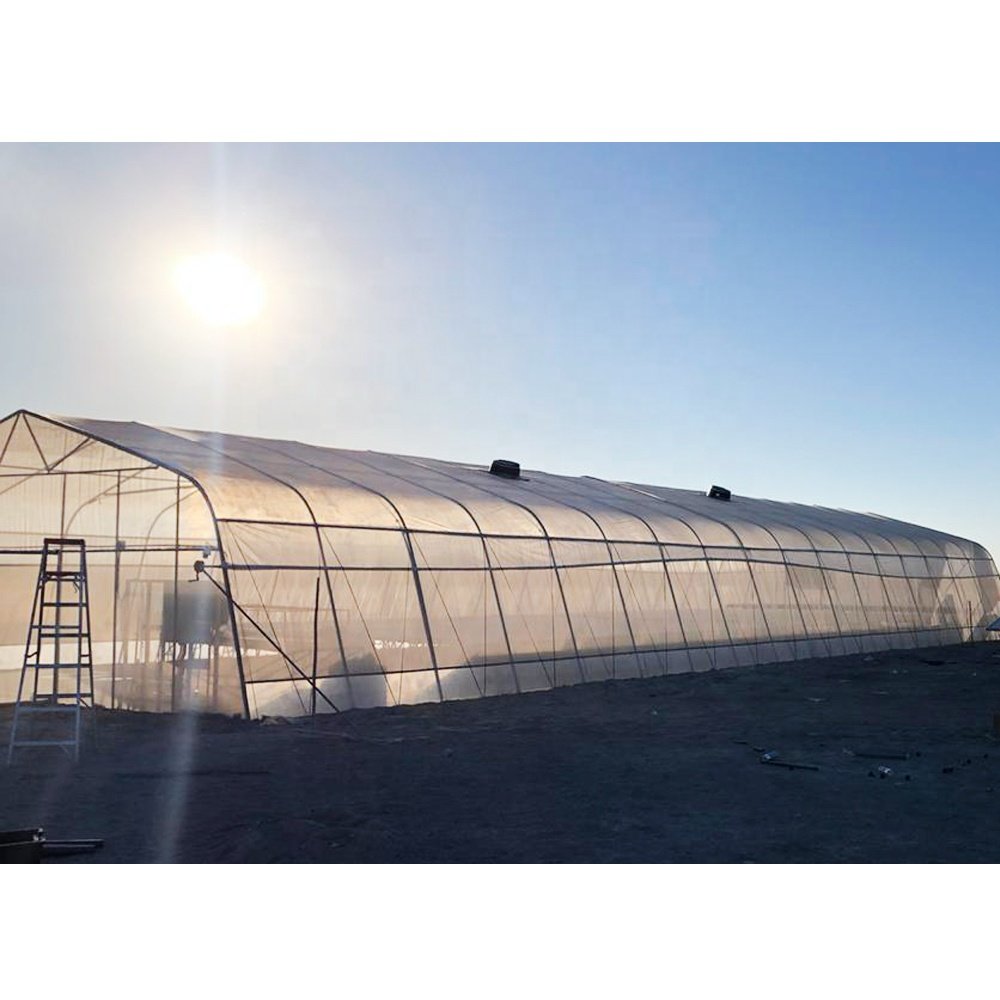 Galvanized steel Frame Single span PE Film greenhouse for Agriculture Low cost Tunnel greenhouse for flowers plant