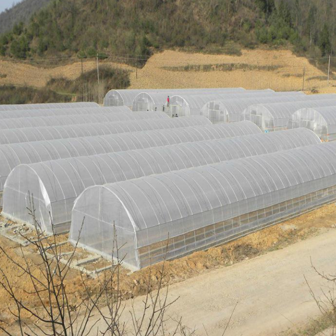 Automatic Temperature Control Planting Flower Greenhouse Supplier Hot Galvanized Steel