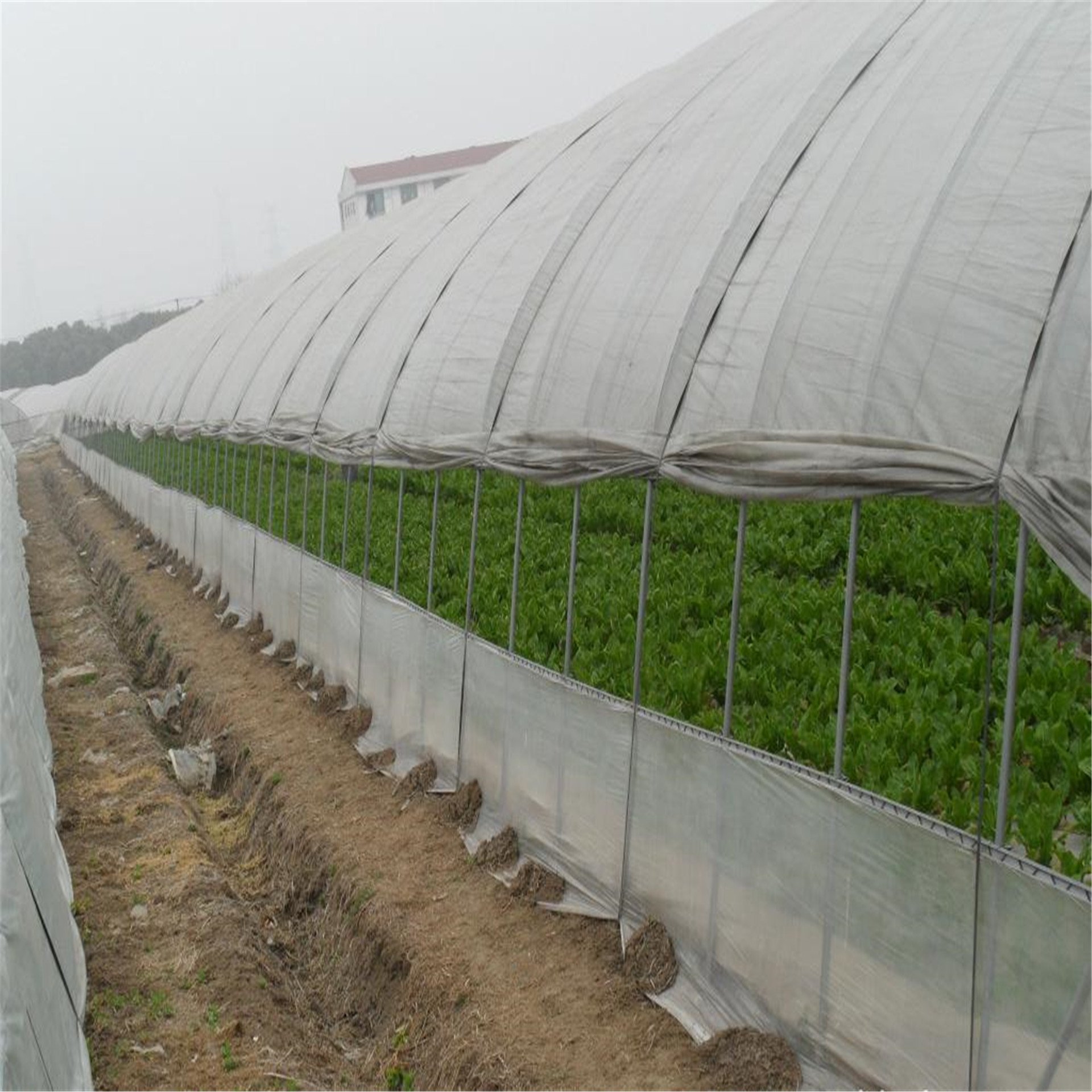 Automatic Temperature Control Planting Flower Greenhouse Supplier Hot Galvanized Steel