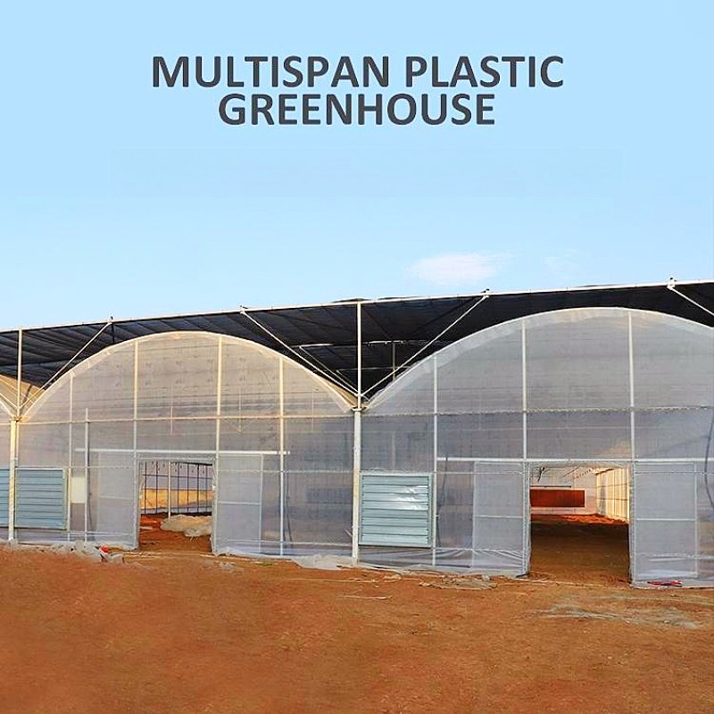 Small to Large Agriculture Polycarbonate Greenhouse with Double Layer Hydroponic System PE Film Plastic Steel Vertical Farming
