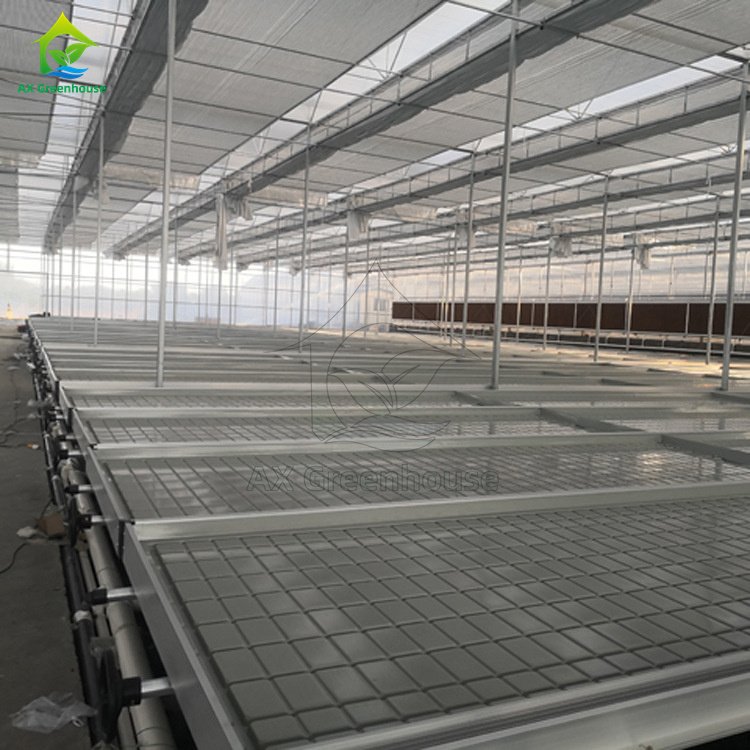 Hot Selling 4*8 Hydroponic Ebb Flood Rolling Greenhouse Benches Growing Trays Table For Sale