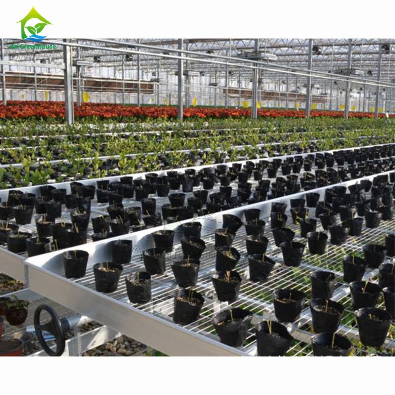 Hot Selling 4*8 Hydroponic Ebb Flood Rolling Greenhouse Benches Growing Trays Table For Sale