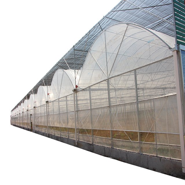 Malaysia greenhouse