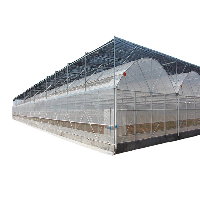 Malaysia greenhouse