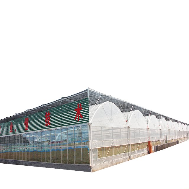 Malaysia greenhouse