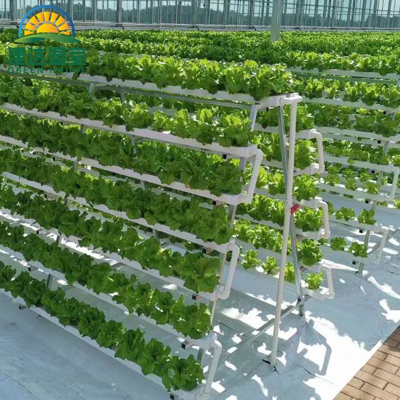 Hot Sale Hydroponic Channel System in Greenhouse and Farm Nft Channels for Hydroponic Growing