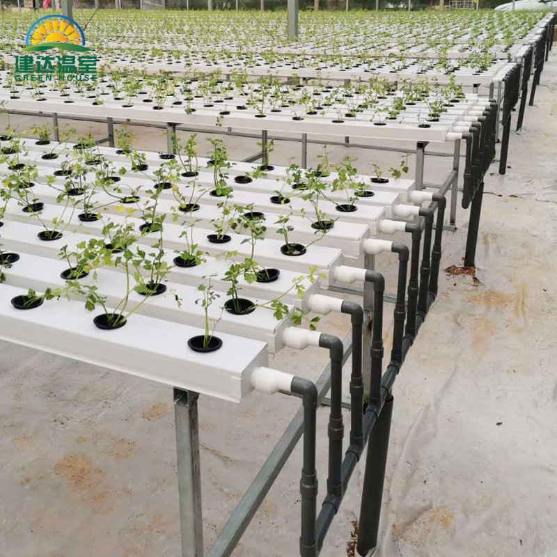 Hot Sale Hydroponic Channel System in Greenhouse and Farm Nft Channels for Hydroponic Growing
