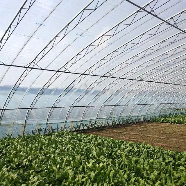 7 Years Of Quality Assurance Transparent/Light Blue Anti UV Plastic Film Greenhouse Cover Film For Vegetable