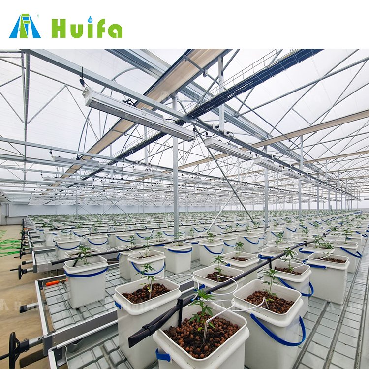 Wholesale Agriculture Greenhouse Bench Hydroponics Grow Flood Table And Frames Clone Seed Growing Bed Ebb Tables