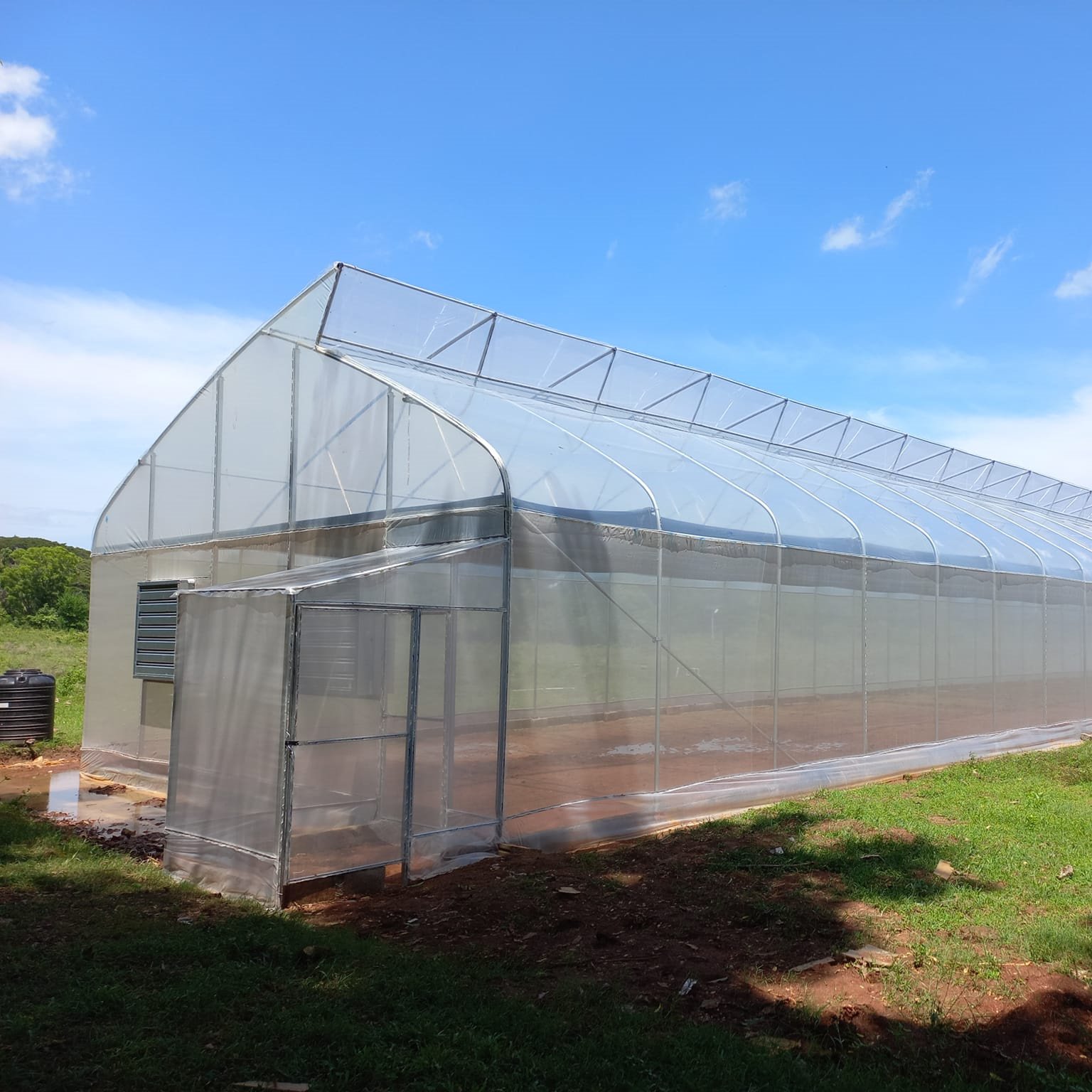 Gothic Greenhouses Tropical Hydroponic Growing Greenhouses Tomato Sawtooth Greenhouse