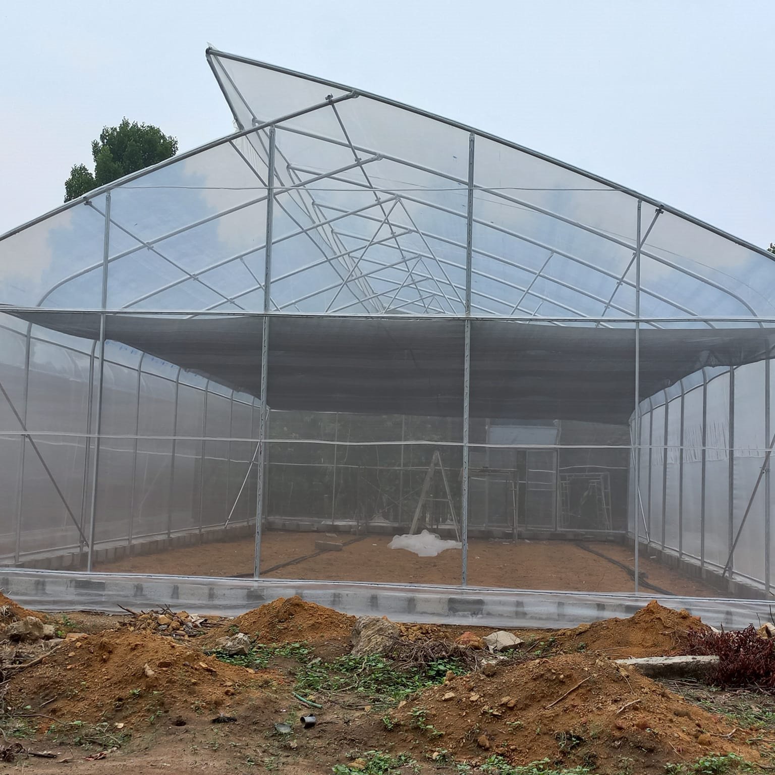 Gothic Greenhouses Tropical Hydroponic Growing Greenhouses Tomato Sawtooth Greenhouse