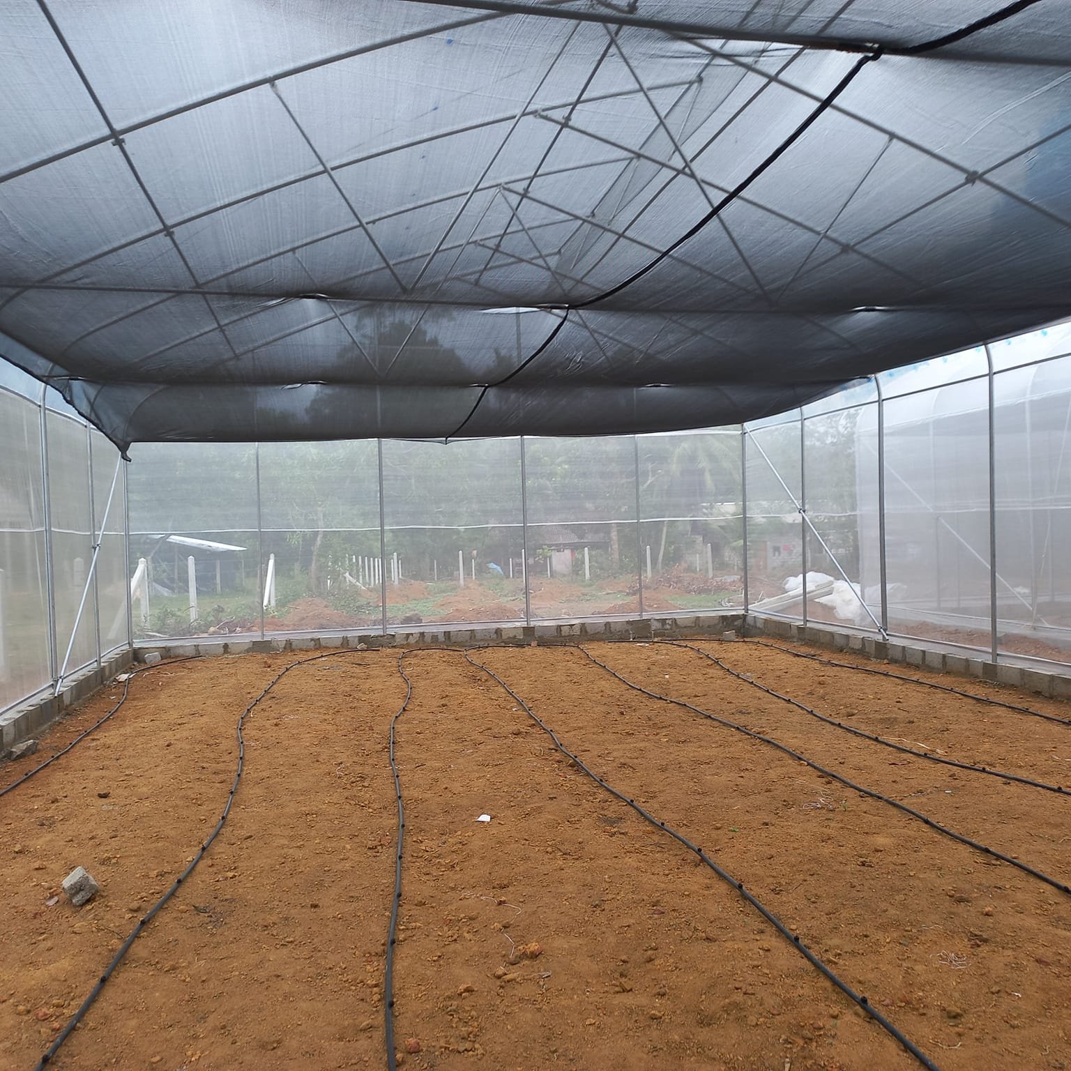 Gothic Greenhouses Tropical Hydroponic Growing Greenhouses Tomato Sawtooth Greenhouse