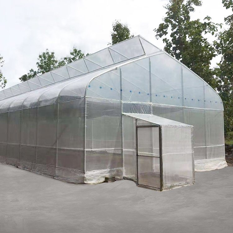 Gothic Greenhouses Tropical Hydroponic Growing Greenhouses Tomato Sawtooth Greenhouse