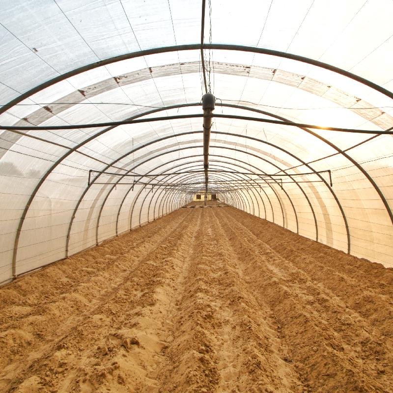 Hydroponics System for 10m 20m 50m Strawberry Fruits vegetables Tomato Planting Plastic Film Greenhouse