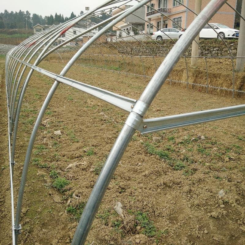 Hydroponics System for 10m 20m 50m Strawberry Fruits vegetables Tomato Planting Plastic Film Greenhouse