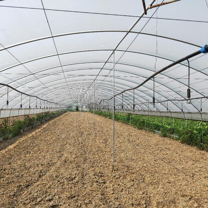 Hydroponics System for 10m 20m 50m Strawberry Fruits vegetables Tomato Planting Plastic Film Greenhouse