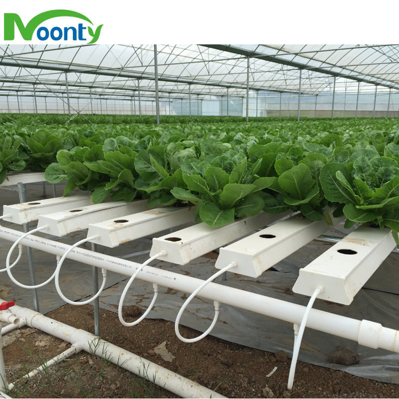 Agricultural Greenhouses Hydroponics Gully Vertical Farming Gutter Smart Garden NFT Grow