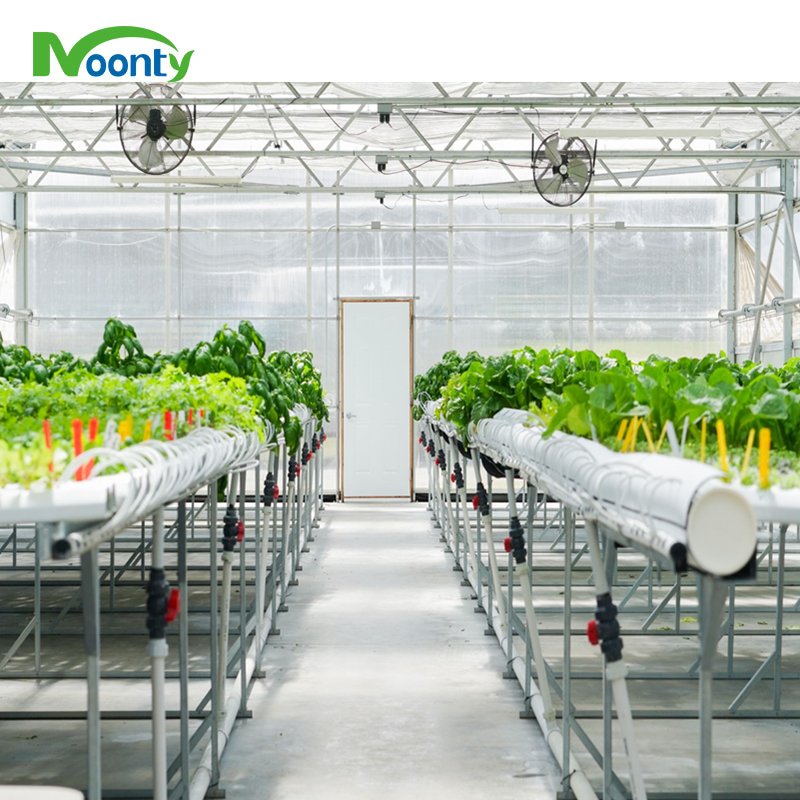 Agricultural Greenhouses Hydroponics Gully Vertical Farming Gutter Smart Garden NFT Grow