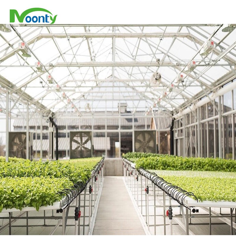 Agricultural Greenhouses Hydroponics Gully Vertical Farming Gutter Smart Garden NFT Grow