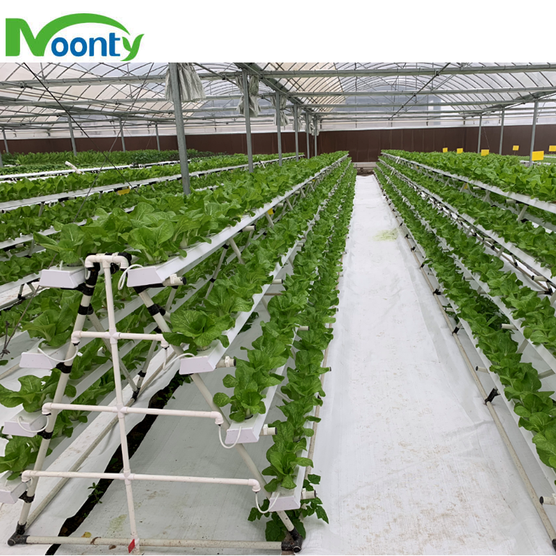 Agricultural Greenhouses Hydroponics Gully Vertical Farming Gutter Smart Garden NFT Grow