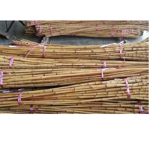 Best Selling 3m Small Size Natural Raw Rattan Cane Material SE ASIA CH Global Agriculture Products Furniture and Handicrafts