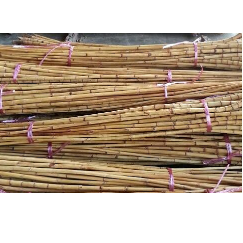Best Selling 3m Small Size Natural Raw Rattan Cane Material SE ASIA CH Global Agriculture Products Furniture and Handicrafts