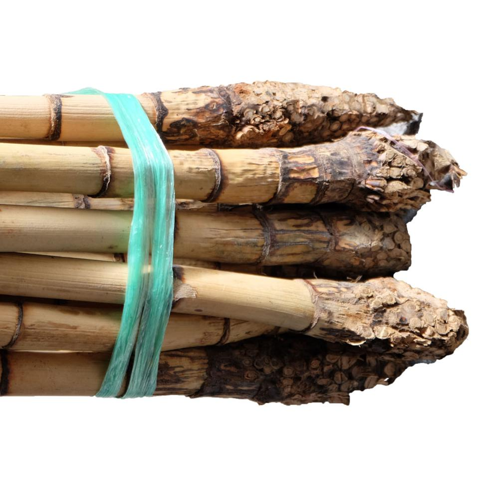 Best Selling 3m Small Size Natural Raw Rattan Cane Material SE ASIA CH Global Agriculture Products Furniture and Handicrafts