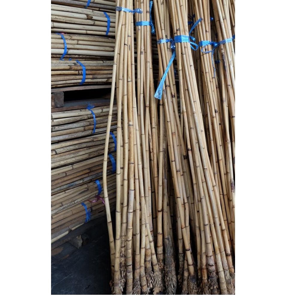 Best Selling 3m Small Size Natural Raw Rattan Cane Material SE ASIA CH Global Agriculture Products Furniture and Handicrafts